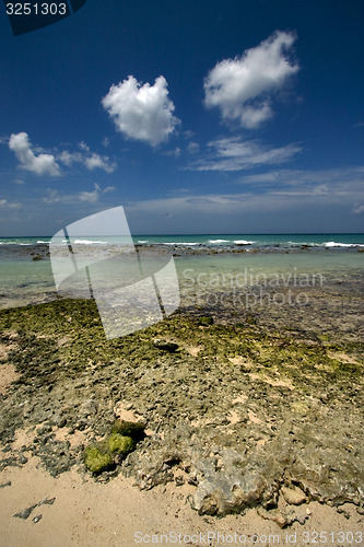 Image of  rock and stone republica dominicana