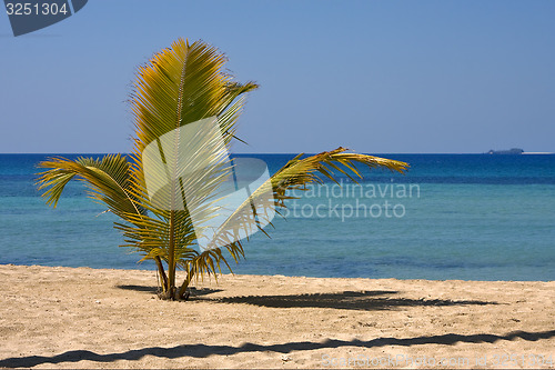 Image of  coastline in nosy be