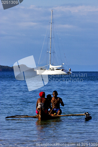 Image of  madagascar  branch yacht boat palm 