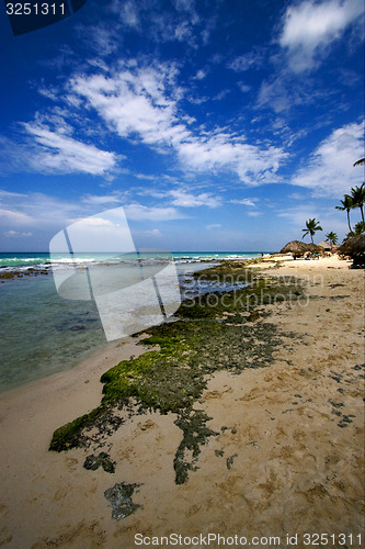 Image of beach rock and stone cabin and palm in  republica dominicana