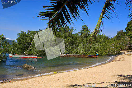 Image of nosy be  rock stone branch boat palm lagoon and coastline