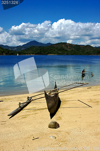 Image of  boat palm  rock stone branch  lagoon and coastline