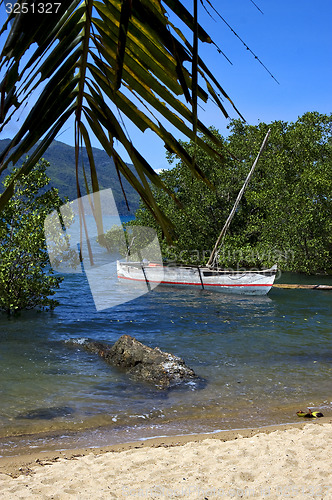 Image of madagascar nosy be rock  branch boat palm lagoon and coastline