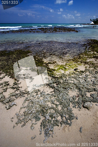 Image of beach rock  in  republica dominicana