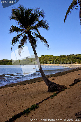 Image of nosy be boat palm and coastline