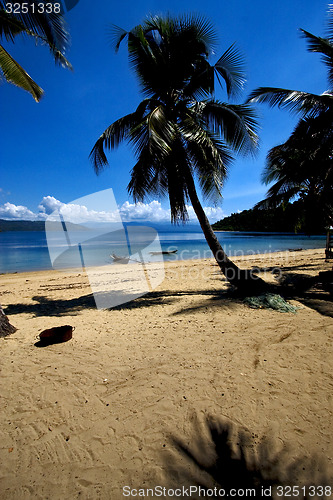 Image of  madagascar  branch boat palm lagoon and coastline