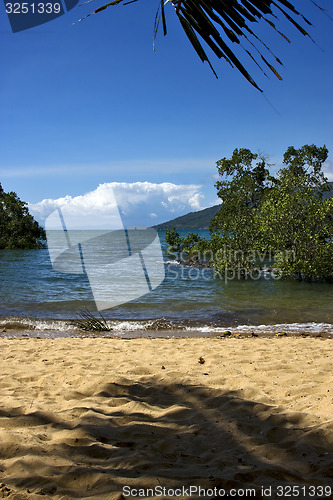 Image of  rock stone branch boat palm lagoon and coastline