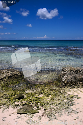 Image of beach rock and stone dominica