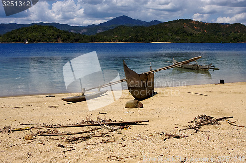 Image of  madagascar nosy be boat palm  rock stone branch  lagoon and coa