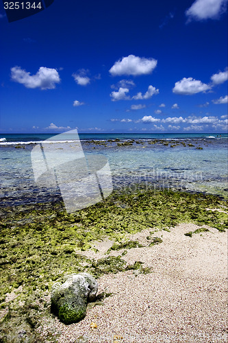 Image of beach rock and stone in  republica dominicana