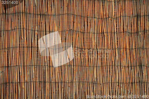 Image of bamboo texture 