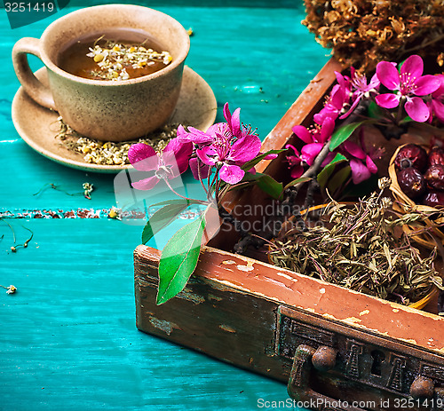 Image of tea on medicinal herbs