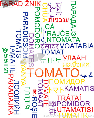 Image of Tomato multilanguage wordcloud background concept