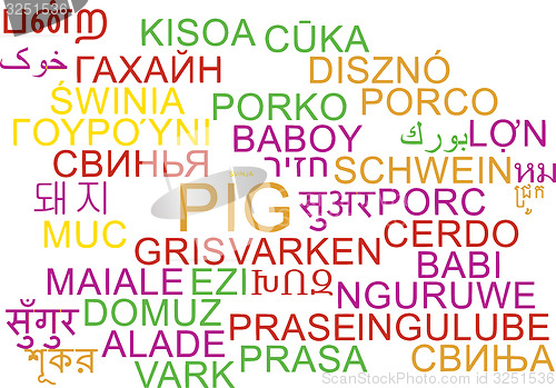 Image of Pig multilanguage wordcloud background concept