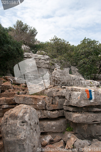 Image of Spring season landscape