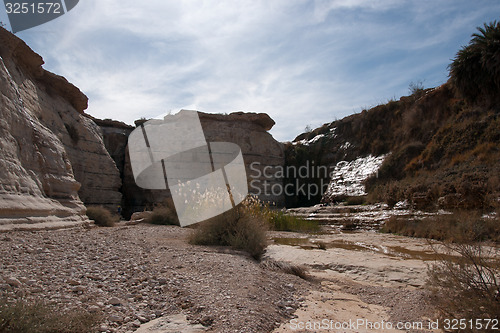 Image of Water spring in a desert