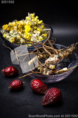 Image of rose hips and folk medicine