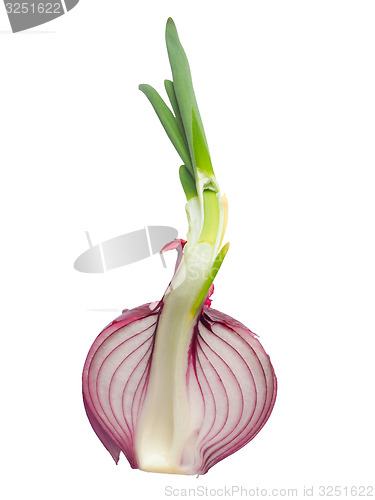 Image of Red onions vegetable sliced isolated