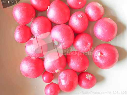 Image of Radish vegetable 