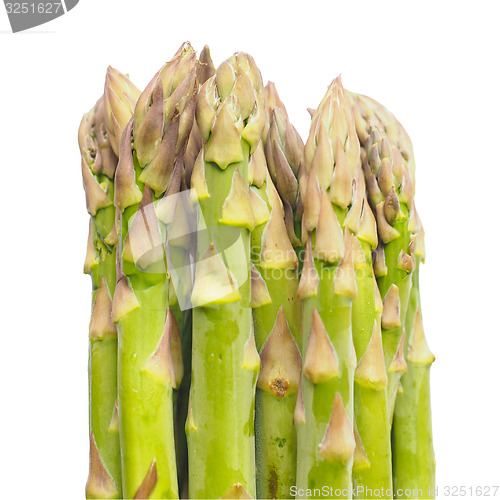 Image of Asparagus vegetable isolated