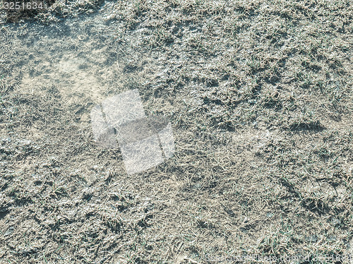 Image of Marshland background