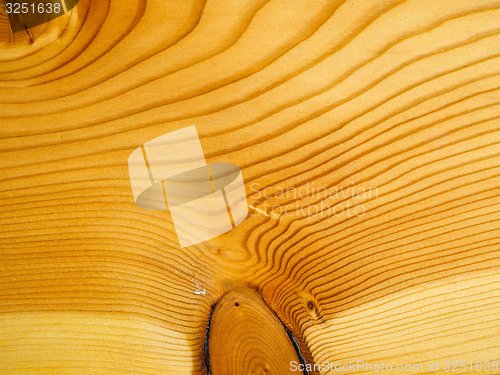 Image of Brown larch wood background