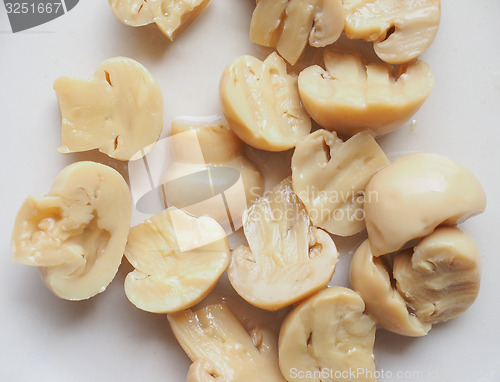 Image of Champignon mushroom dish