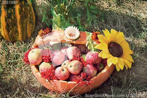 Image of Harvest vegetables sold at the fair