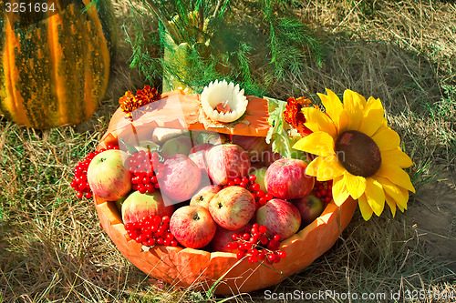 Image of Harvest vegetables sold at the fair