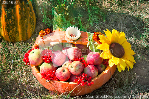 Image of Harvest vegetables sold at the fair