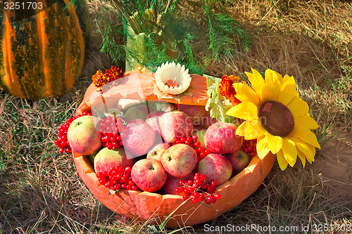 Image of Harvest vegetables sold at the fair
