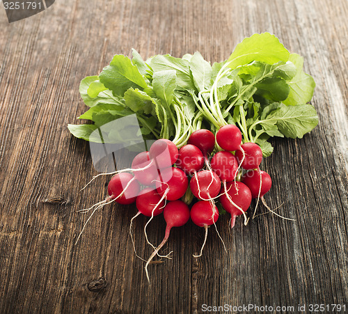 Image of Radish