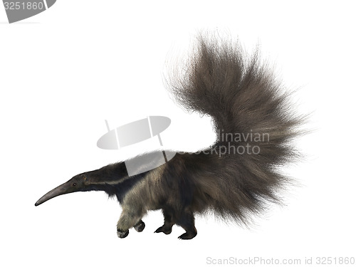 Image of Giant Anteater