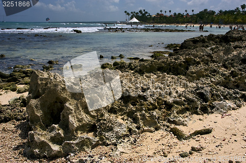 Image of stone cabin and palm in  republica dominicana