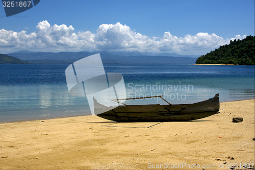 Image of  boat palm  rock stone branch  lagoon 