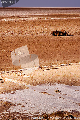 Image of car roaring