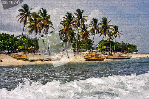 Image of work and tree in  republica dominicana