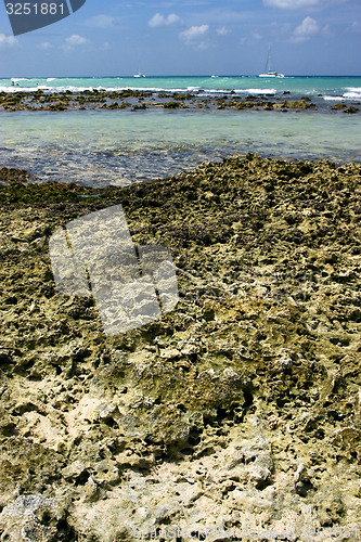 Image of  rock and stone cabin and palm in  republica dominicana