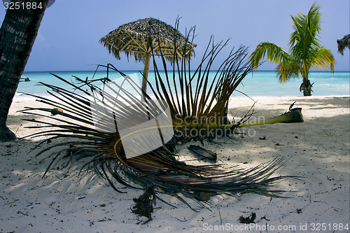 Image of republica dominicana  beach 