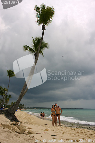 Image of  ocean coastline tree and tree in  republica dominicana