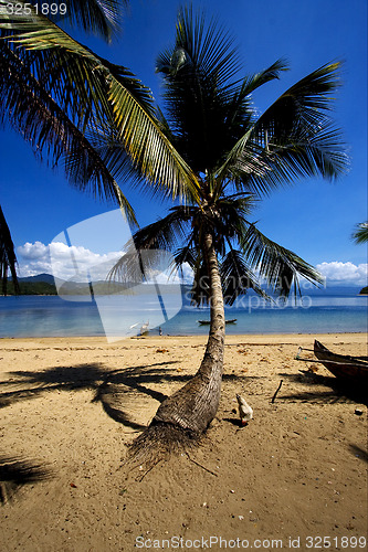 Image of  nosy be rock stone branch boat palm lagoon 