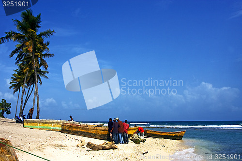 Image of  ocean  palm and tree in  republica dominicana