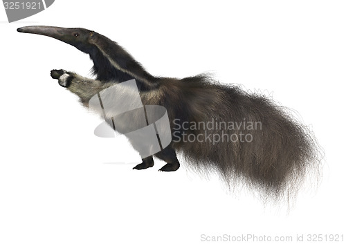 Image of Giant Anteater