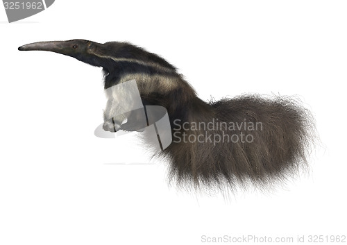 Image of Giant Anteater