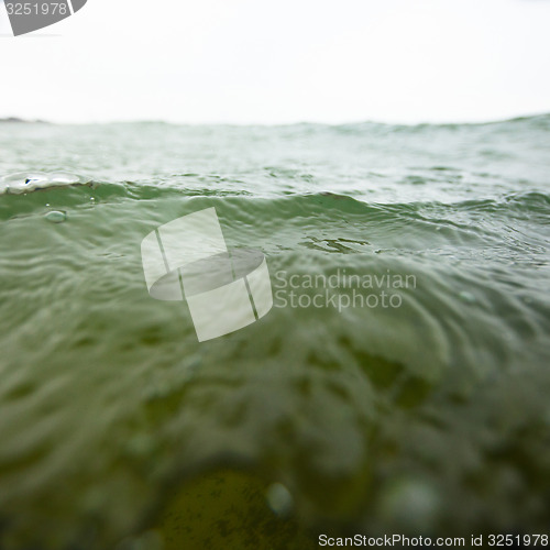 Image of Close-up of sea water