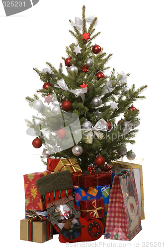 Image of tree