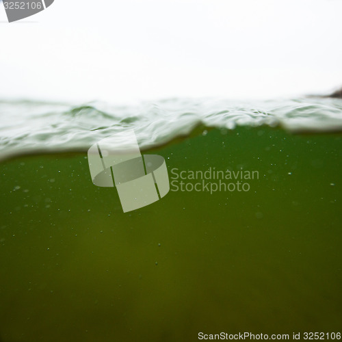 Image of Close-up of sea water