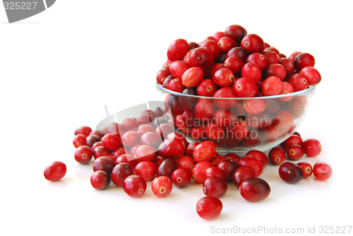 Image of Cranberries in a bowl