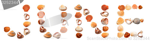 Image of J U N E text composed of seashells