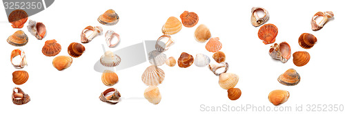 Image of M A Y text composed of seashells